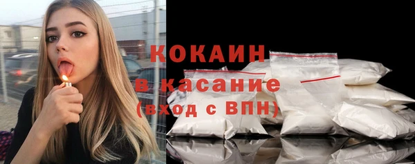 индика Белокуриха