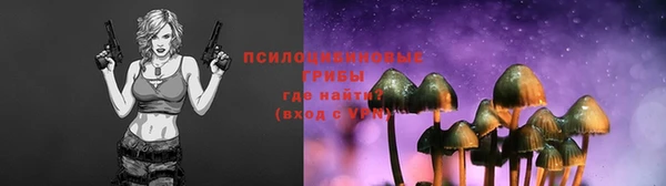 тгк Беломорск