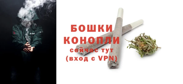гидра Баксан