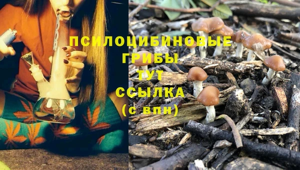 винт Балабаново