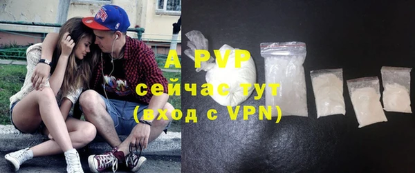 индика Белокуриха